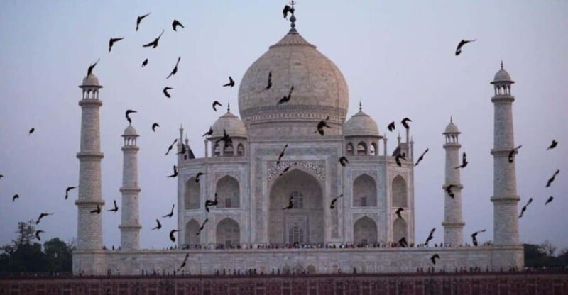 From Delhi: Taj Mahal Sunrise & Agra Day Tour with Transfers - Practical Considerations