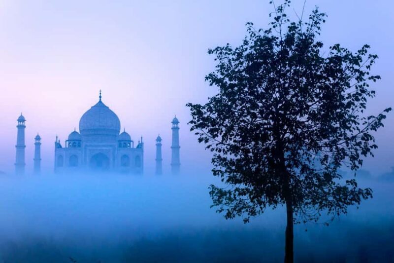 From Delhi: Taj Mahal Sunrise, Agra Fort & Baby Taj Day Tour - The Sum Up