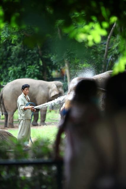 From Delhi: Taj Mahal Sunrise, Agra Fort & Elephant Tour - Unveiling the Magic of the Delhi to Agra Tour: Taj Mahal Sunrise, Agra Fort & Elephant Sanctuary