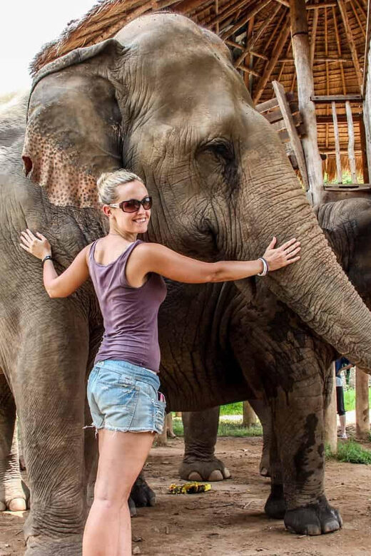 From Delhi: Taj Mahal Sunrise, Agra Fort & Elephants Tour - The Sum Up