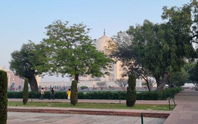 From Delhi : Taj Mahal Sunrise & Agra Fort Guided Day Trip - Important Information