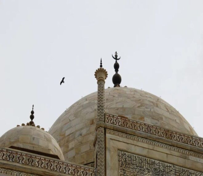 From Delhi: Taj Mahal Sunrise & Agra Tour - By Car - Inclusions