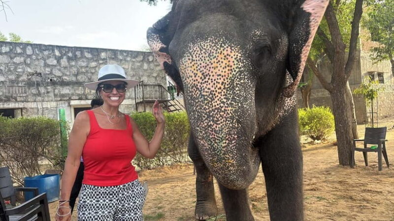 From Delhi: Taj Mahal Sunrise and Elephant Conservation Tour - A Detailed Look at the Tour