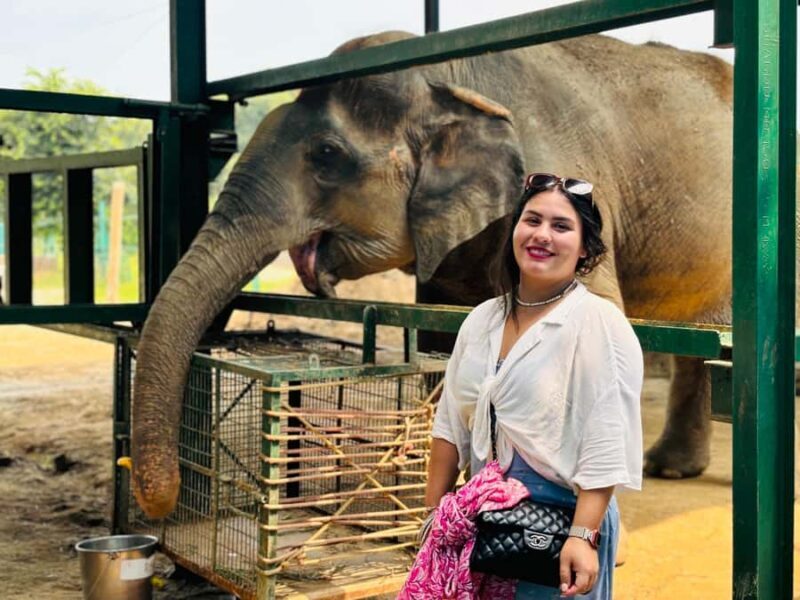 From Delhi: Taj Mahal Sunrise Tour & Elephant Conservation - Authentic Experiences and Real Insights