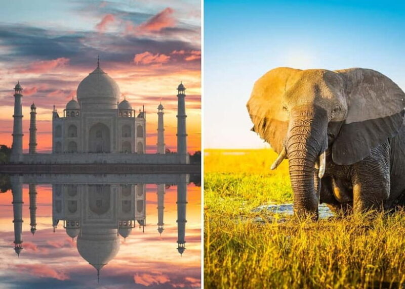 From Delhi: Taj Mahal Sunrise Tour with Elephant SOS Center - Good To Know