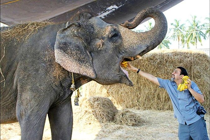 From Delhi: Taj Mahal Tour With Elephant Conservation Centre - Pricing and Booking Information