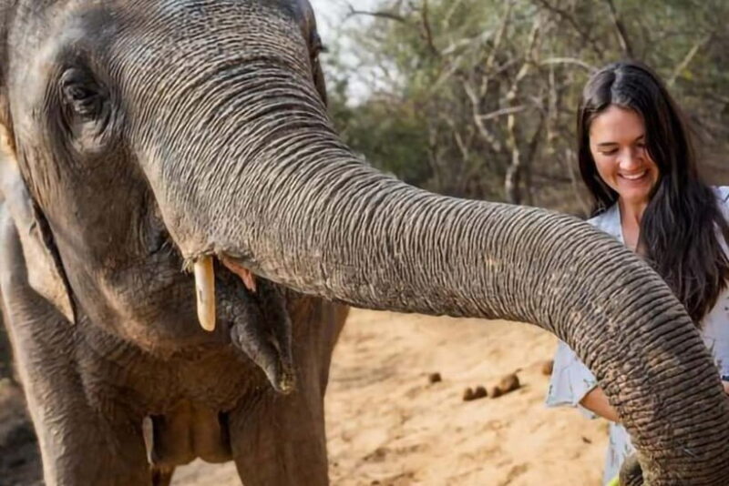 From Delhi: Taj Mahal Tour With Elephant SOS - Exploring the Taj Mahal at Sunrise