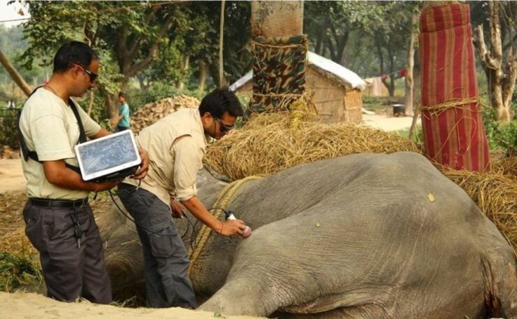 From Delhi: Trip to Taj Mahal, Wildlife SOS and Agra Fort - Tour Details
