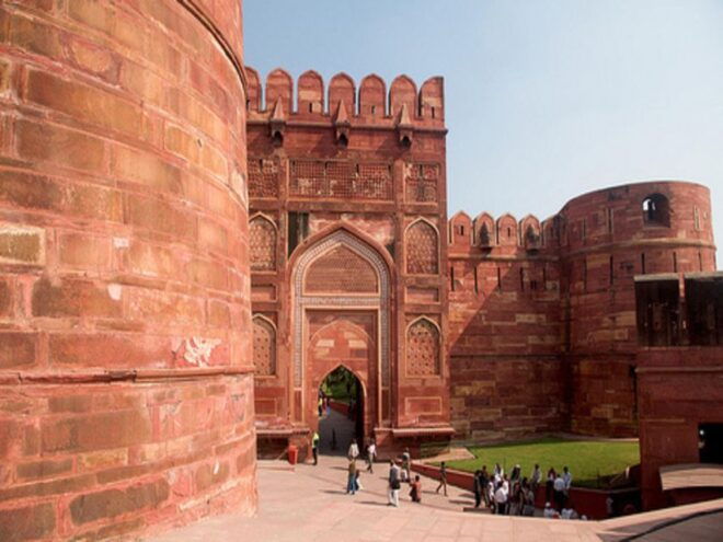 From Delhi: Trip to Taj Mahal, Wildlife SOS and Agra Fort - Itinerary