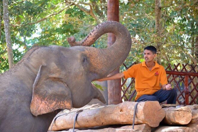 From Delhi:Sunrise Taj Mahal Tour With Elephant Conservation - Itinerary Details