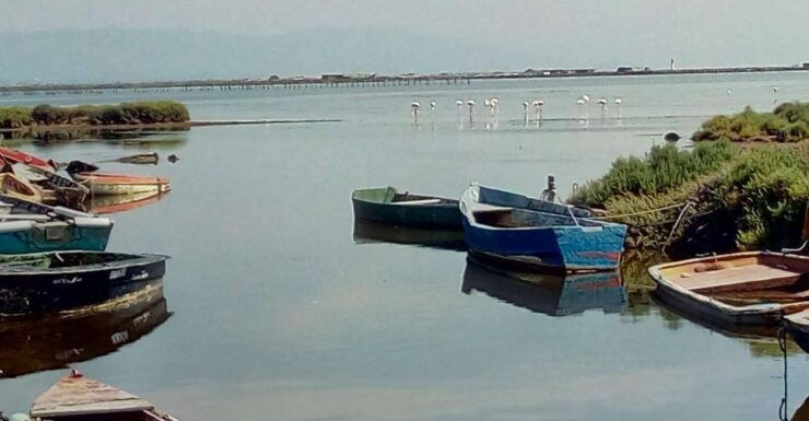 From Deltebre: Ebro Delta National Park Multi-Stop Day Trip - Tour Overview