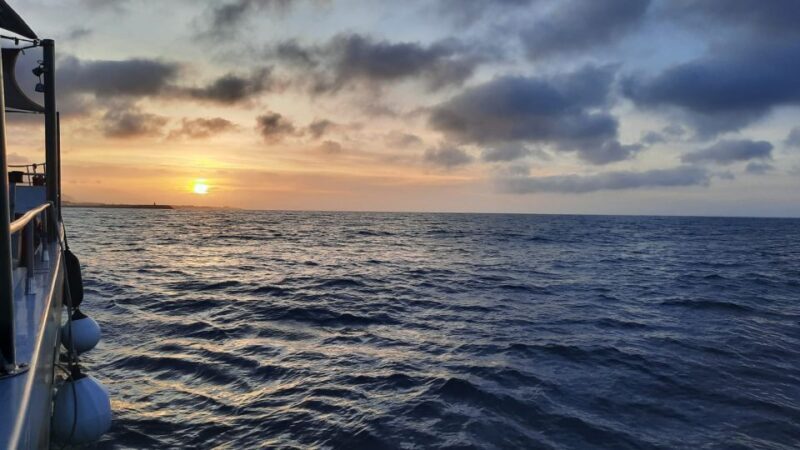 From Denia: Sunset Catamaran Sailing Trip - Practical Details and Considerations