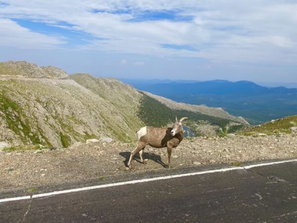 From Denver: Pikes Peak and Garden of the Gods Guided Tour - Directions
