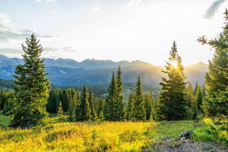 From Denver: Red Rocks and Foothills Half-Day Guided Tour - Experience Highlights