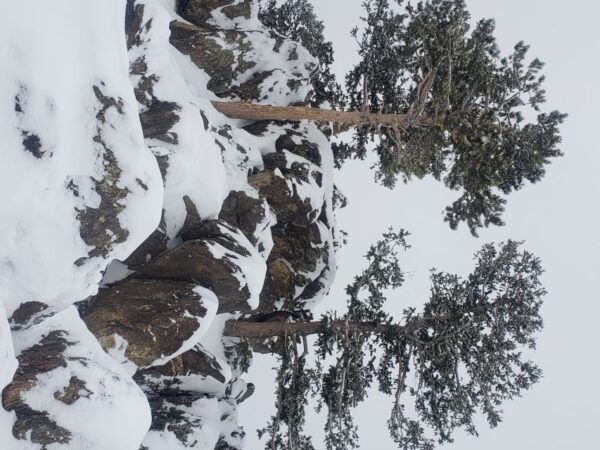 From Denver: Rocky Mountain National Park Fall/Winter Tour - Common Questions