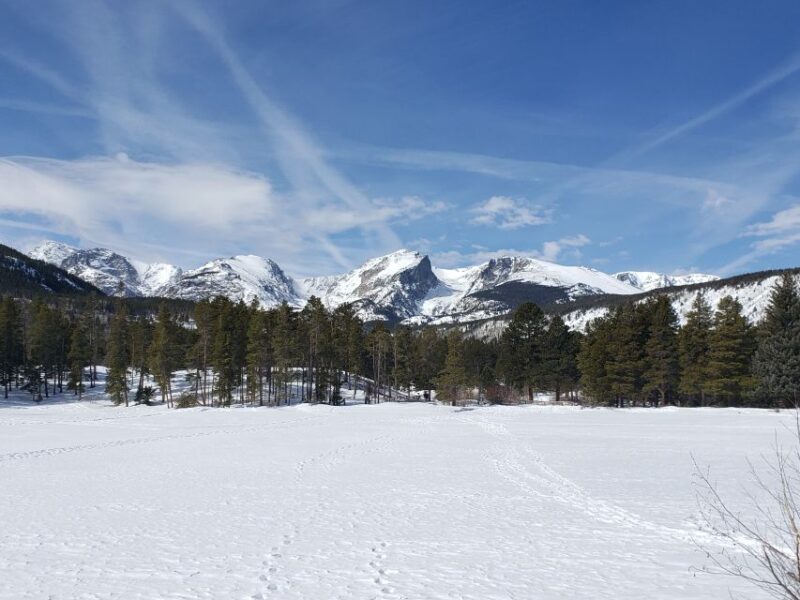 From Denver: Rocky Mountain National Park Winter/Spring Tour - What to Expect on the Tour