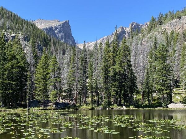 From Denver: Rocky Mountains Jeep Tour With Picnic Lunch - The Sum Up