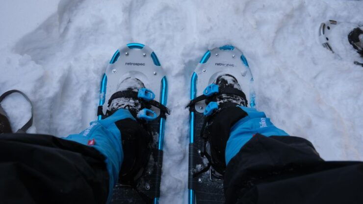 From Denver: Snowshoeing in Rocky Mountains - Experience