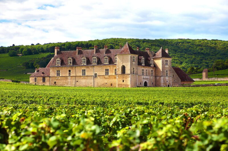 From Dijon: Burgundy Villages and Wine Tasting Tour - Itinerary Highlights