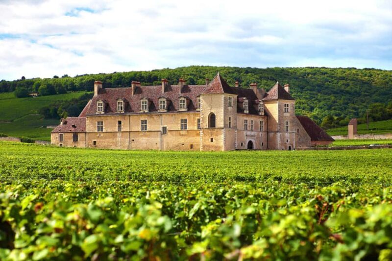 From Dijon: Côte de Nuits & Côte de Beaune Vineyards Tour - Why This Tour Offers Great Value