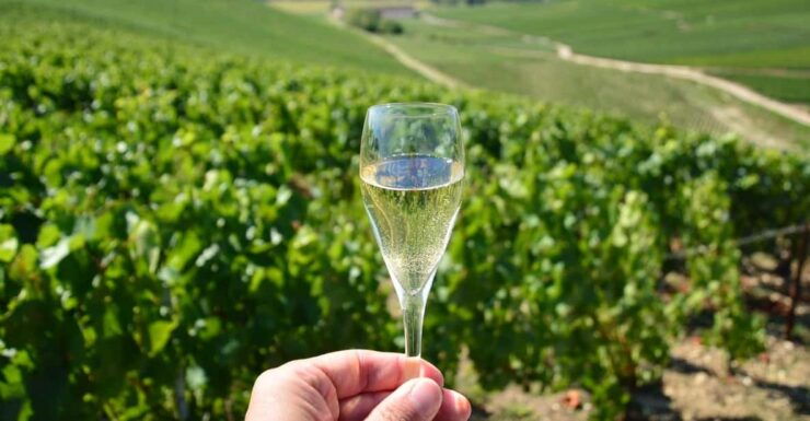 From Disney Trip to CHAMPAGNE CELLAR (Maison Pannier) - Key Points