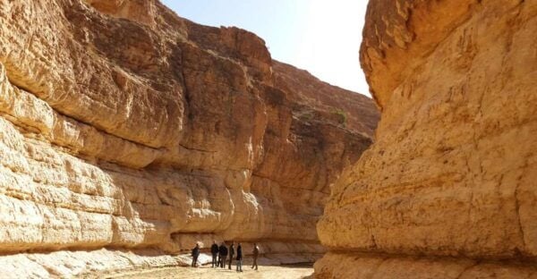 From Djerba: 2-Day Tour of Tozeur and Mountain Oasis - Sunset Views and Tea at Mos Espa