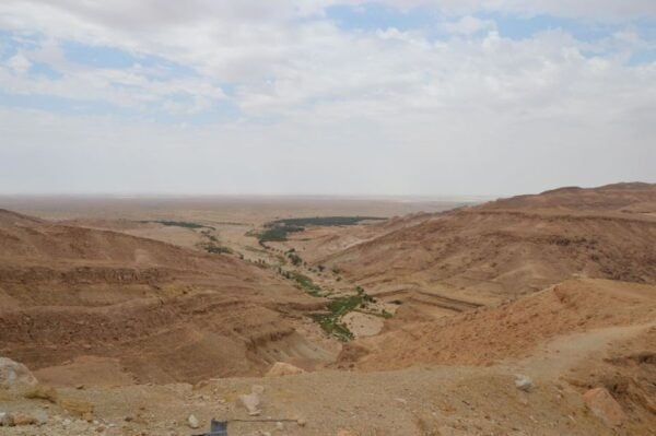 From Djerba: 2-Day Tour of Tozeur and Mountain Oasis - Common Questions