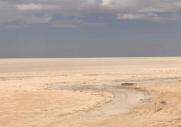 From Djerba: 3-Day Tunisian Desert Tour - Common Questions