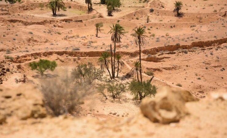From Djerba and Zarzis : An Epic 3 Days Desert Adventure - Day 1 - Exploring the Roman Road and Berber Village