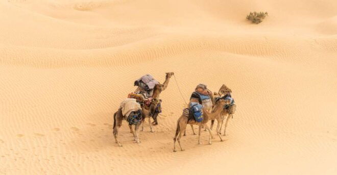 From Djerba and Zarzis : An Epic 3 Days Desert Adventure - Overall Experience