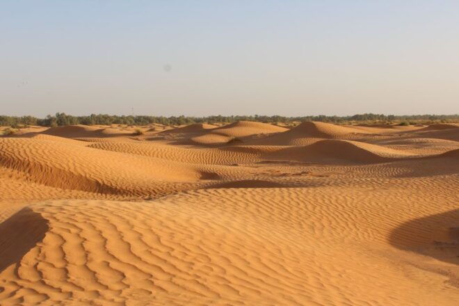 From Djerba: Full-Day Ksar Ghilane Hot Spring and Villages - Full Description