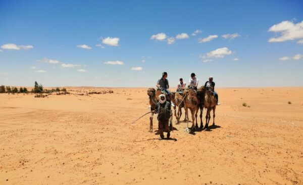 From Djerba: Full-Day Ksar Ghilane Hot Spring and Villages - Common Questions