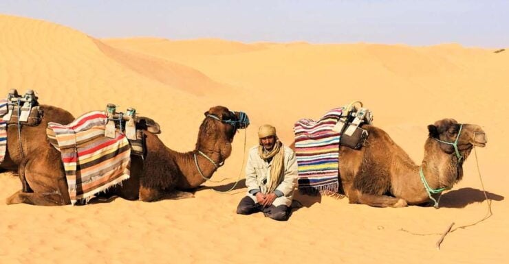 From Djerba: Full-Day Ksar Ghilane Sahara and Oasis Tour - Booking Details