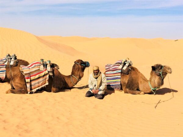 From Djerba: Full-Day Ksar Ghilane Sahara and Oasis Tour - Itinerary
