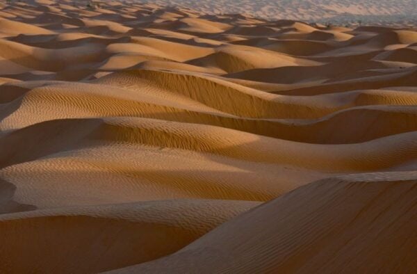 From Djerba: Full-Day Ksar Ghilane Sahara and Oasis Tour - Transportation