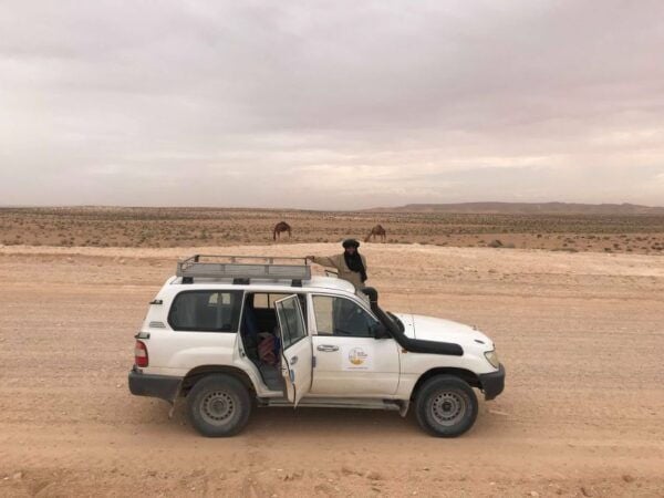 From Djerba: Full-Day Ksar Ghilane Sahara and Oasis Tour - Tips and Recommendations