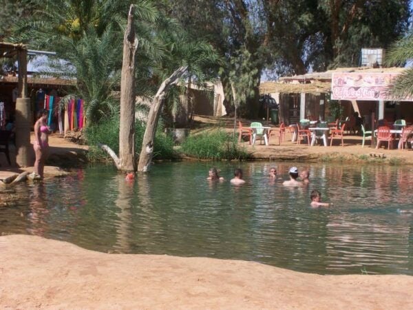From Djerba: Full-Day Ksar Ghilane Sahara and Oasis Tour - Common Questions