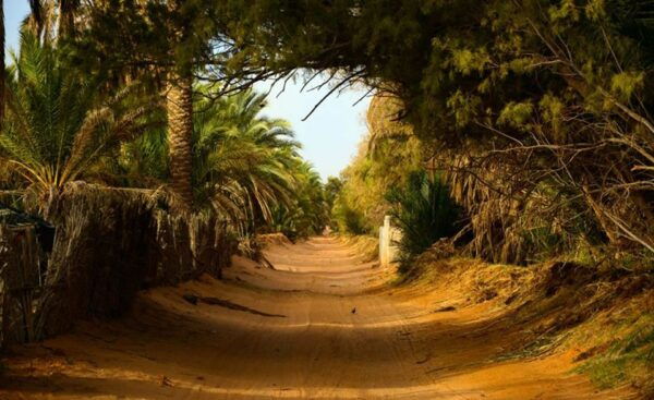From Djerba Midun: 2-Day Desert and Ancient Cottage Tour - The Sum Up