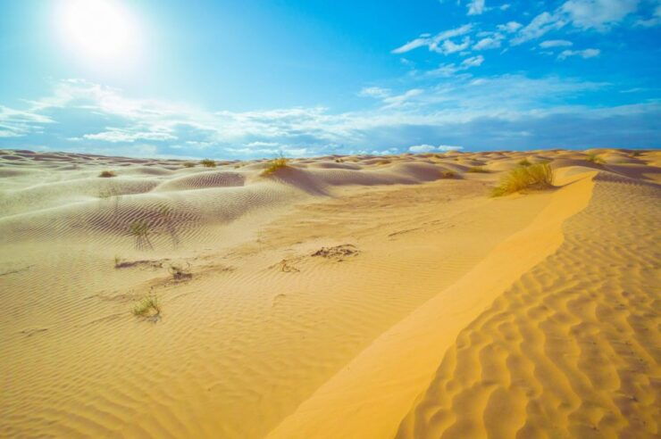 From Djerba: Night at the Desert Camp Ksar Ghilane - Experience Highlights