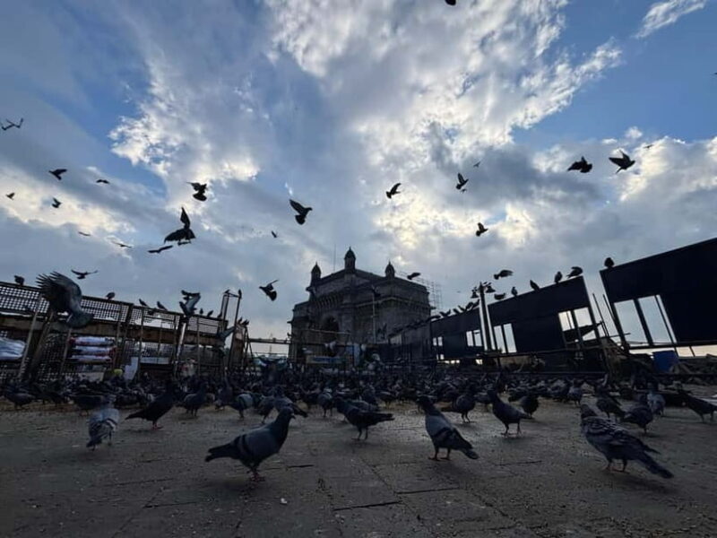 From Docks to Dreams: Mumbai's Iconic Trail - Discovering the Heart of Mumbai: An In-Depth Review