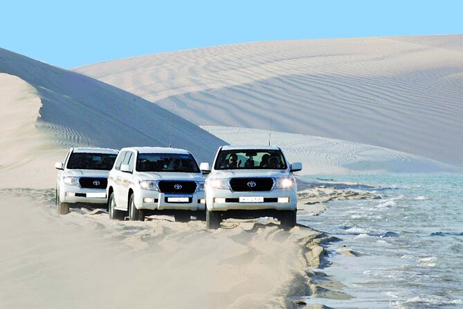 From Doha Airport: Desert Safari and Inland Sea Tour. - Desert Safari Experience
