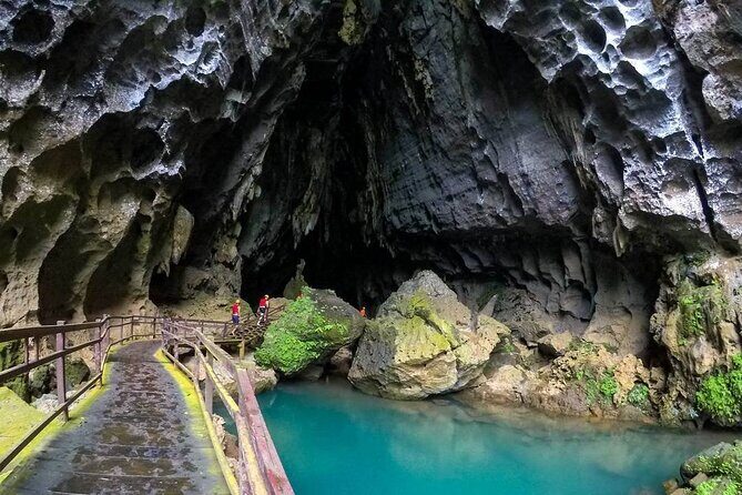 From Dong Hoi: Dark Cave and Phong Nha Cave Tour with Lunch - An In-Depth Look at the Dark Cave & Phong Nha Tour