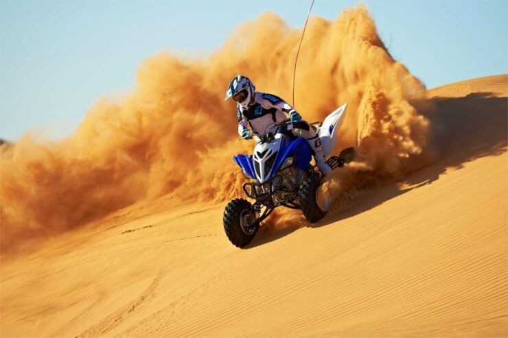 From Douz: Camel and Quad Bike Tour With Transfer - Highlights