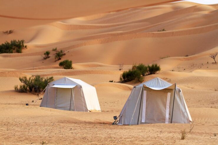 From Douz: Overnight Safari in Tunisian Sahara Desert - Activity Details