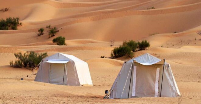 From Douz: Overnight Safari in Tunisian Sahara Desert - Full Description