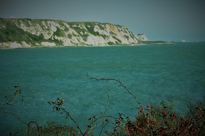 From Dover Port; Grand Tour of White Cliffs Country & Back - Reviews and Viator Information