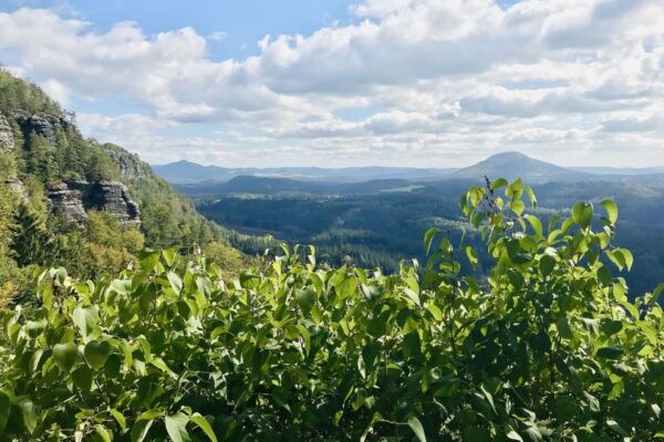 From Dresden: Bohemia and Saxon Switzerland Day Trip - Tour Focus and Scenic Dinghy Ride