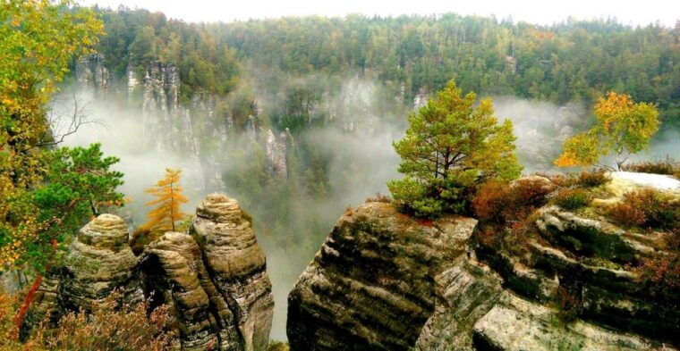 From Dresden: Bohemian & Saxon Switzerland Day Trip - What to Keep in Mind