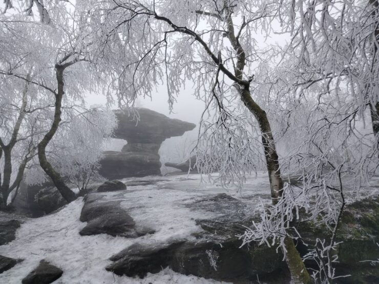 From Dresden: Bohemian & Saxon Switzerland Day Trip - Tour Options for Exploring the Natural Wonders