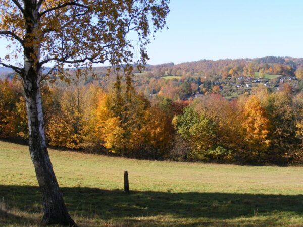 From Dresden: Day-Trip to the Ore Mountains - Common Questions